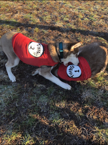 44E29E7F-CD4F-4E28-889D-87BA04BA7386